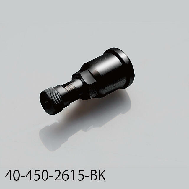 BRIDGE PORT AIR VALVE